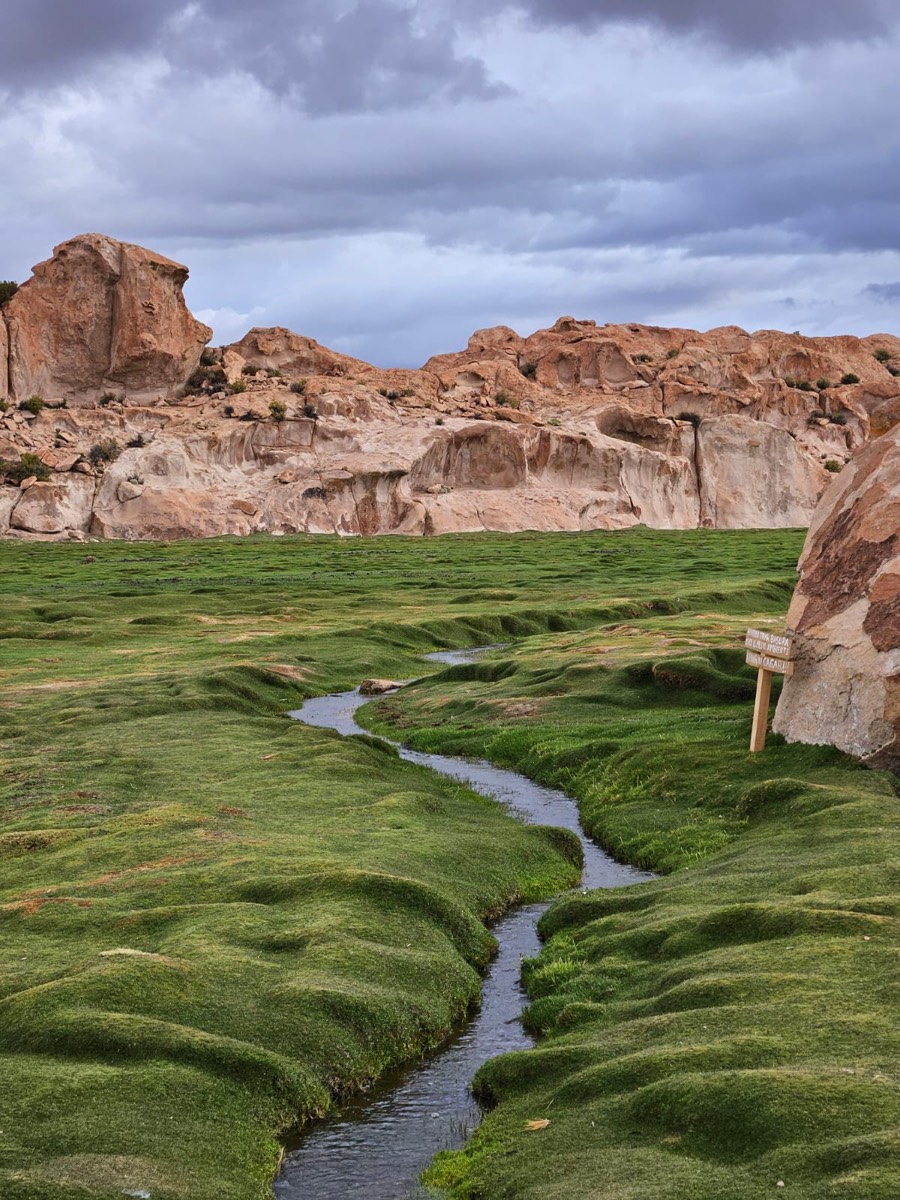 A narrow stream winding through green wetland, with pale rock formations behind.