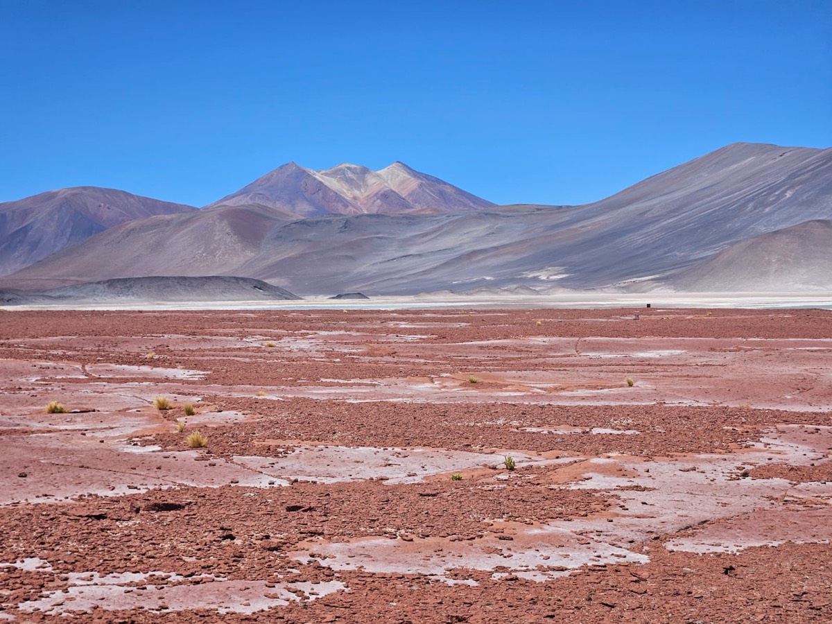 Red, cracked desert ground in front of soft colored mountains.